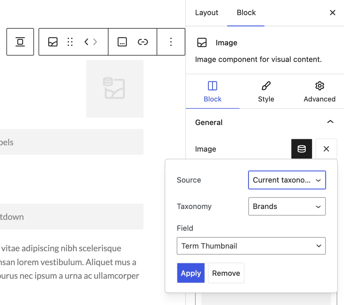 Screenshot of an image block settings panel with source set to current taxonomy, taxonomy Brands, and field Term Thumbnail