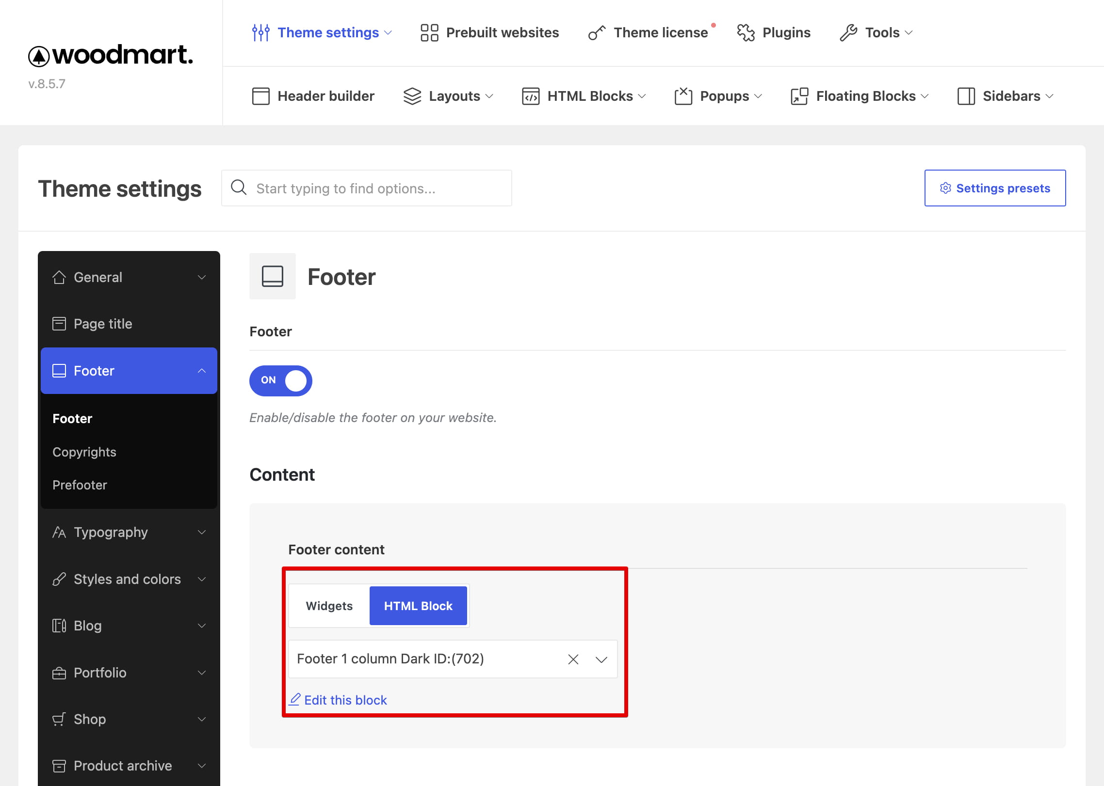 footer in theme settings