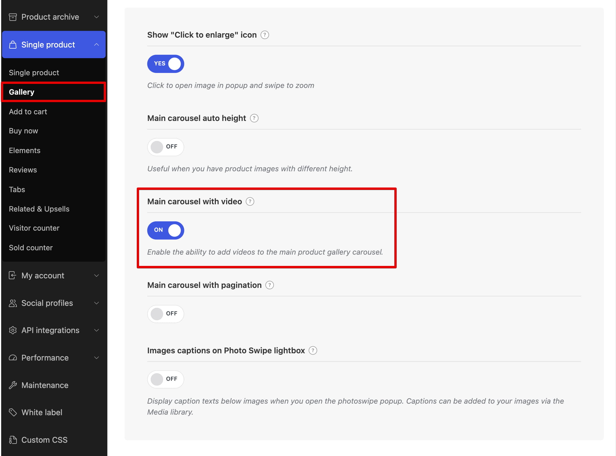Gallery settings page with the “Main carousel with video” option turned on