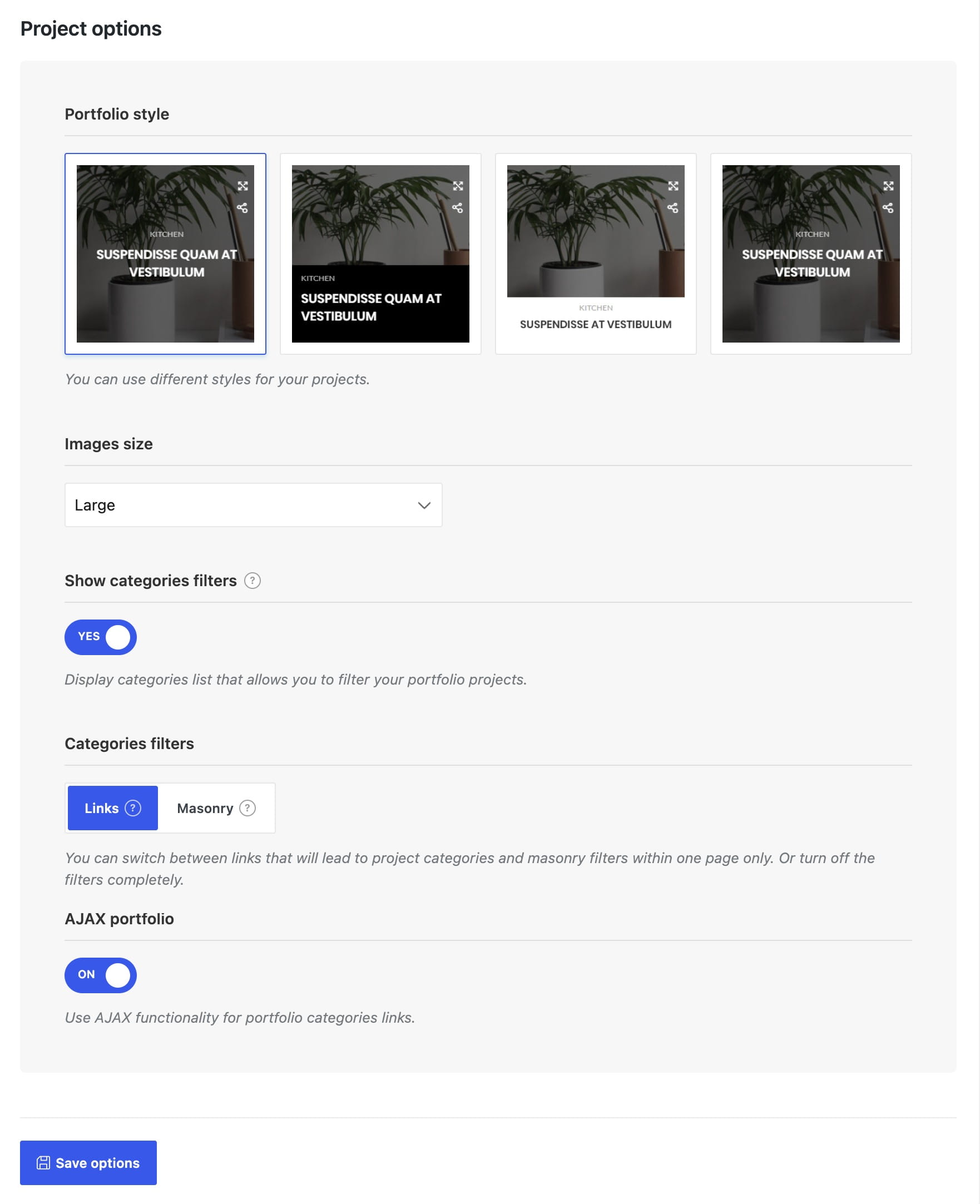 Projects options in theme settings
